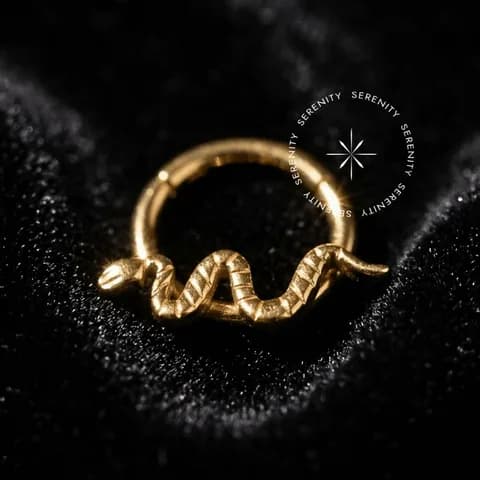 TN1139 - Argola Frontal Serpente - Titânio Revestido de Ouro 18k