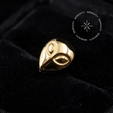 TN846 - Topo ET - Titânio Revestido de Ouro 18k