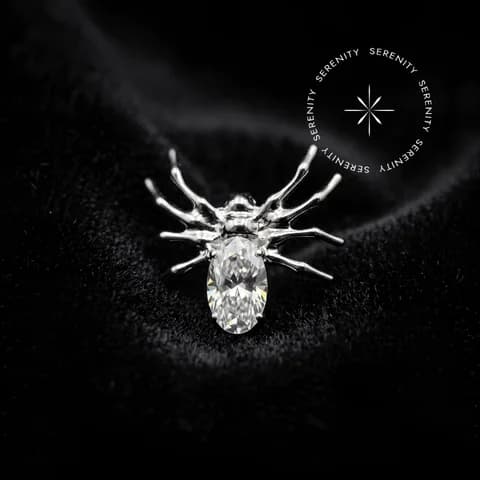 TN598 - Topo Big Aranha Cravejado - Titânio Grau Implante (ASTM F136)