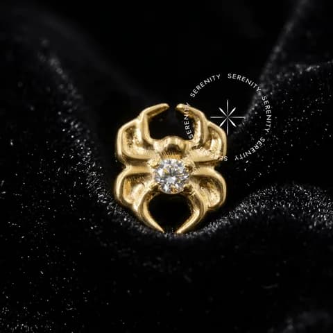 TN570 - Topo Aranha Cravejado - Titânio Revestido de Ouro 18k
