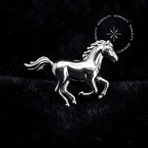 TN784 - Topo Cavalo - Titânio Grau Implante (ASTM F136)