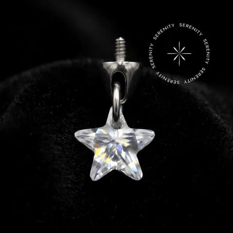 TN1619 - Topo Cravejado com Pingente de Estrela - Titânio Grau Implante (ASTM F136)