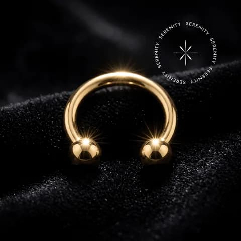 TN561 - Ferradura Clássica Lisa - Titânio Revestido de Ouro 18k