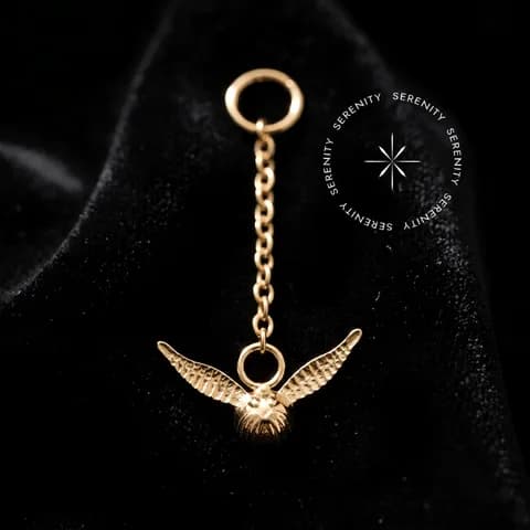 TN1845 - Corrente Pomo de Ouro Harry Potter - Titânio Revestido de Ouro 18k