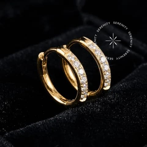 TN1668 - Brinco Argola Cravejada Clicker - Titânio Revestido de Ouro 18k