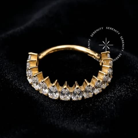 TN1964 - Argola Coroa Cravejada - Titânio Revestido de Ouro 18k