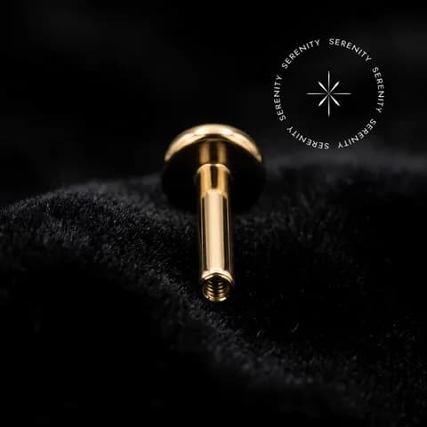N1697 - Haste Labret Base com Mini Disco 2.5mm - Titânio Revestido de Ouro 18k
