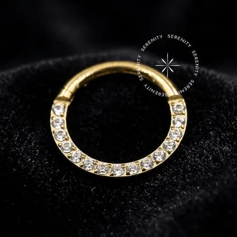 TN301 - Argola Frontal Cravejada - Titânio Revestido de Ouro 18k