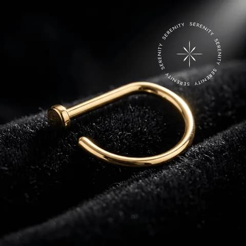 TN221 - Argola D-Ring Haste Reta - Titânio Revestido de Ouro 18k