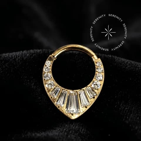 Tn 254 - Argola Clicker Cravejada Chevron - Titânio Revestido de Ouro 18k