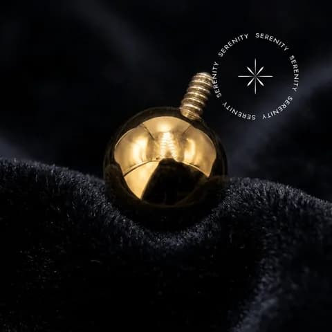 TN1686 - Topo Esfera Clássica - Titânio Revestido de Ouro 18k
