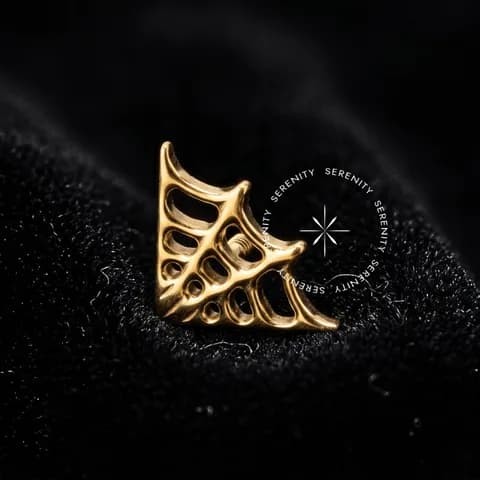 TN900 - Topo Teia de Aranha - Titânio Revestido de Ouro 18k