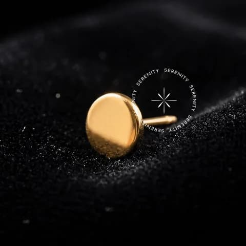 TN96 - Topo Disco Push Pin- Titânio Revestido de Ouro 18k