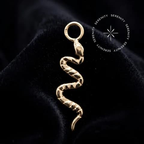 TN1611 - Pingente Cobra - Titânio Revestido de Ouro 18k