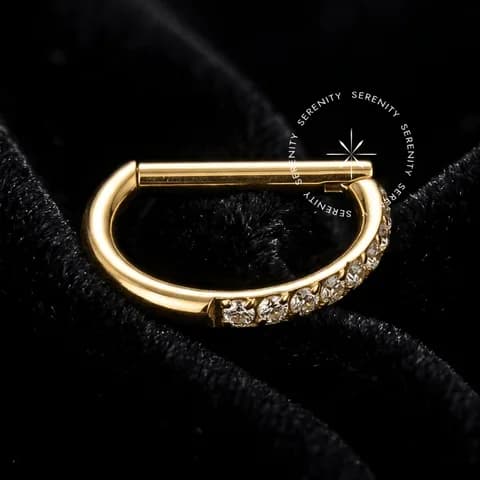 TN587 - Argola D-Ring Meio Cravejada - Titânio Revestido de Ouro 18k