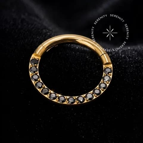 TN2333 - Argola Clicker Segmentada Black - Titânio Revestido de Ouro 18K
