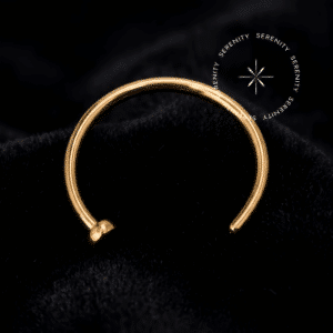 Piercing de Nariz Argola em Titânio