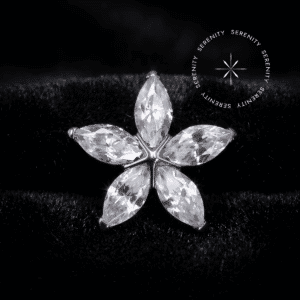 Piercing de Orelha Titânio