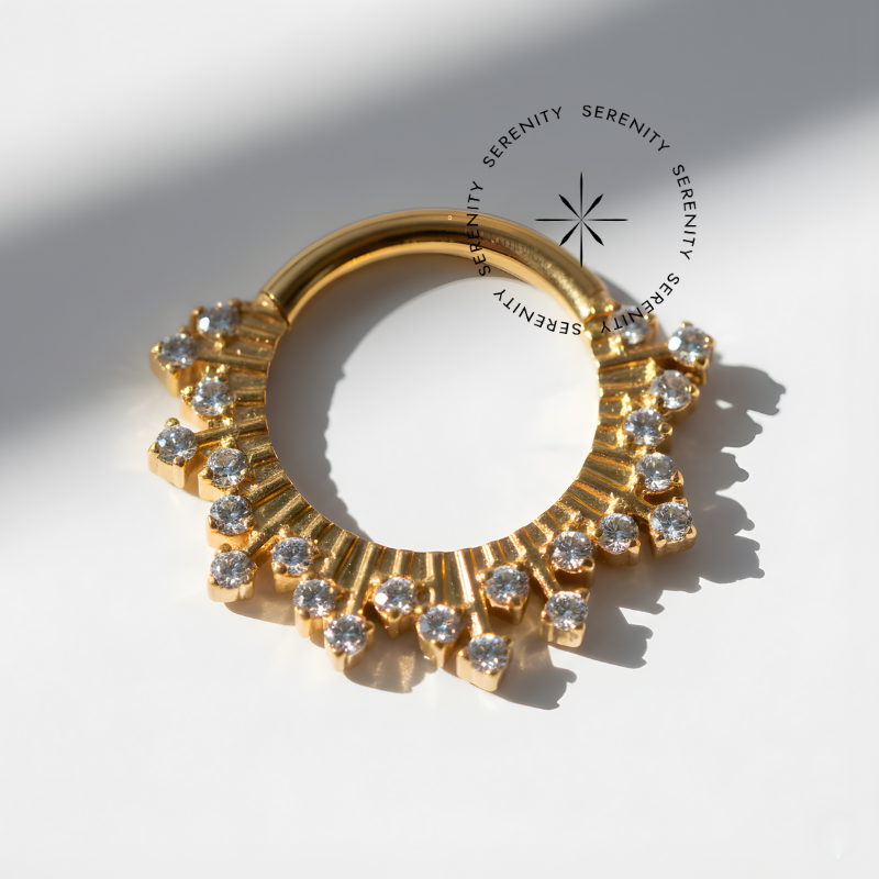 TN1772 Argola Luxo Raios de Luz Titânio PVD Gold