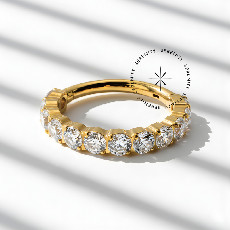 TN1939 Argola Cravejada 12 Zircônias Titânio PVD Gold