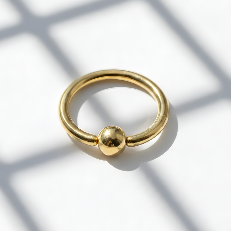 TN562 Argola Tradicional Captive Titânio PVD Gold