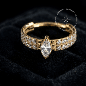 TN 223 - Argola Clicker Cravejada Linha Dupla e Navete - Titânio Revestido de Ouro 18k