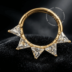 Piercing Argola Cravejada em Titânio