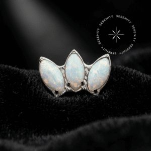 Piercing Topo para Orelha em Titânio