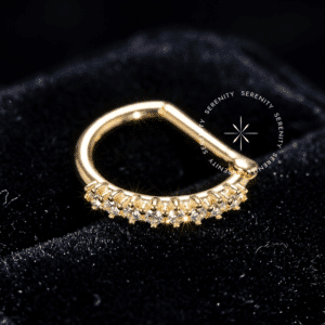 A Argola Segmento D Ouro OR60 forjada em Ouro 18K Maciço atuando como Piercing Hipoalergênico e Joalheria de Corpo de alta Biocompatibilidade em sua Atualização de Setup.