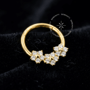 Argola frontal flores titânio modelo TN1069 dourada para septo e daith com zircônias.